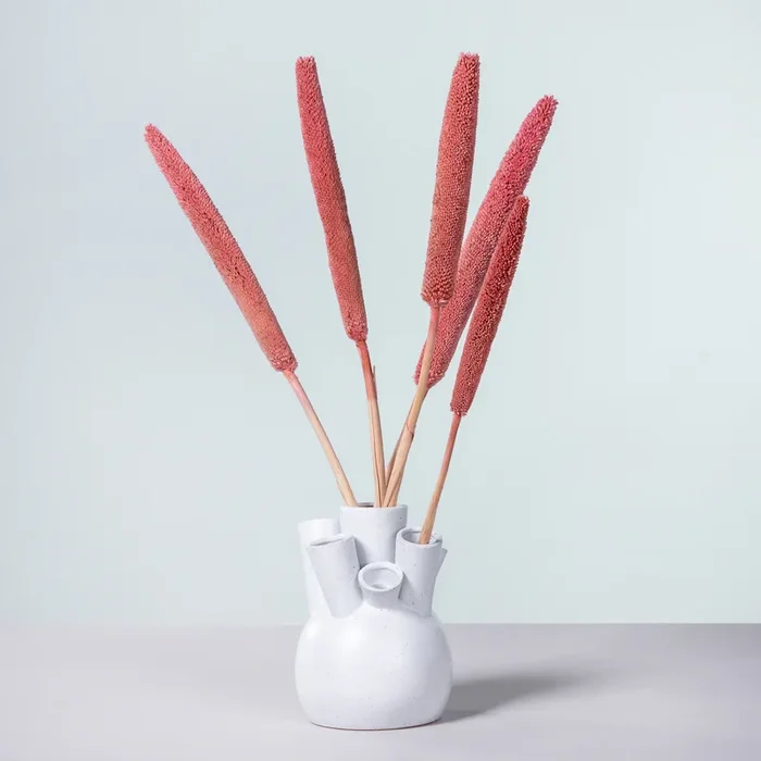 Trockenblumenbund Babala Pink