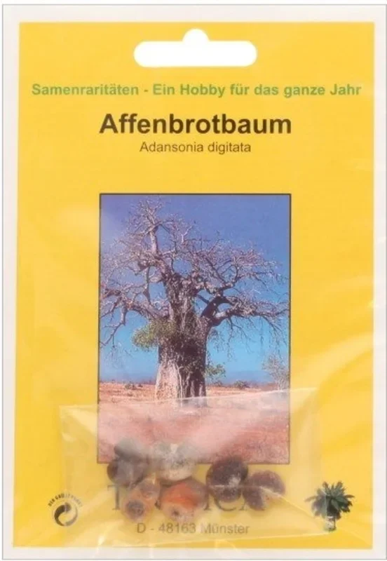 TROPICA Affenbrotbaum, 6 Korn