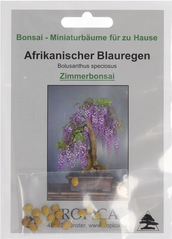 TROPICA Afrikanischer Blauregen, 2 g
