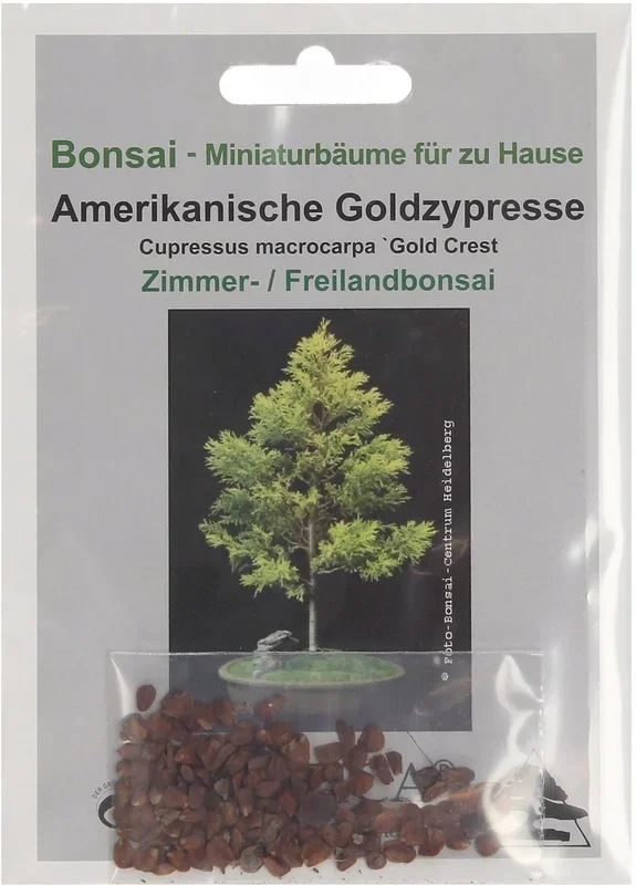 TROPICA Amerikanische Goldzypresse, 2 g