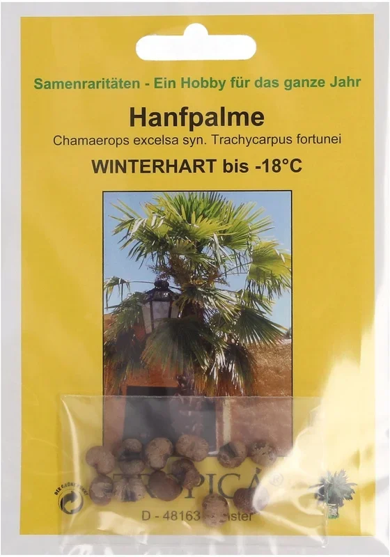 TROPICA Hanfpalme, 6 g