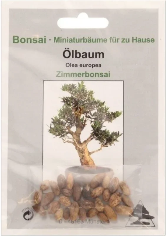TROPICA Ölbaum