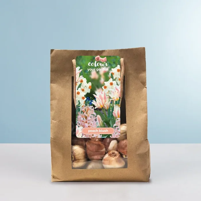 Tulpen & Hyazinthen & Narzissen ‚Peach Blush‘ Mix – 10 Zwiebeln