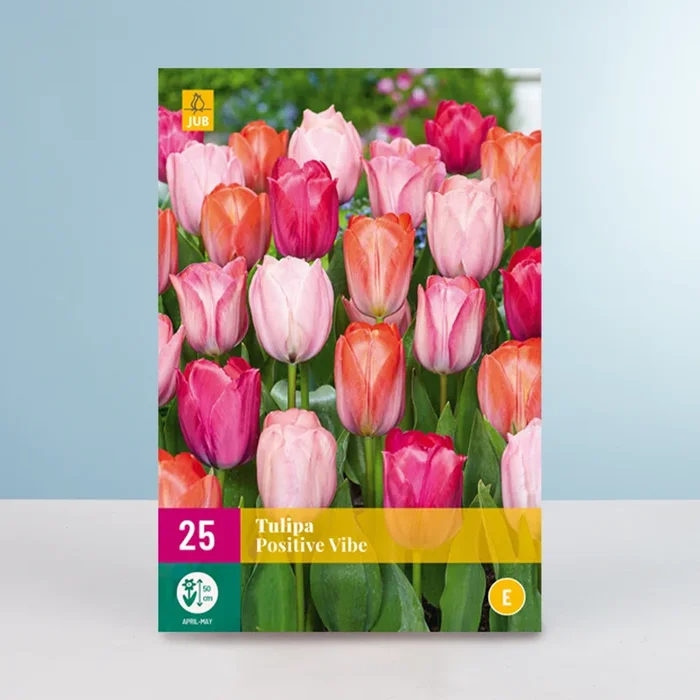 Tulpen ‚Positive Vibe‘ Mix – 25 Zwiebeln