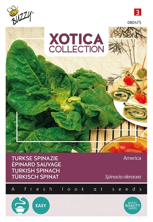 Türkisch Spinat