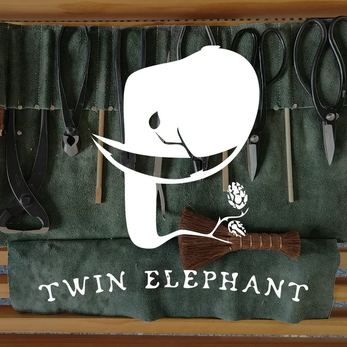 Twin Elephant Brewing Company