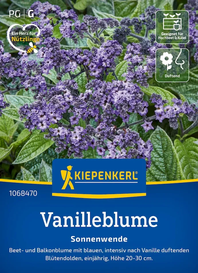 Vanilleblumensamen Sonnenwende