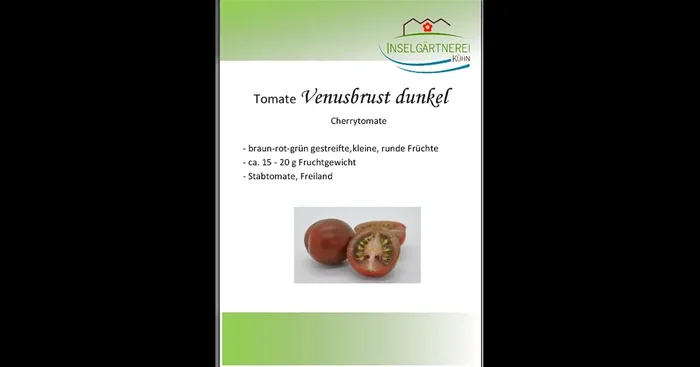 Venusbrust