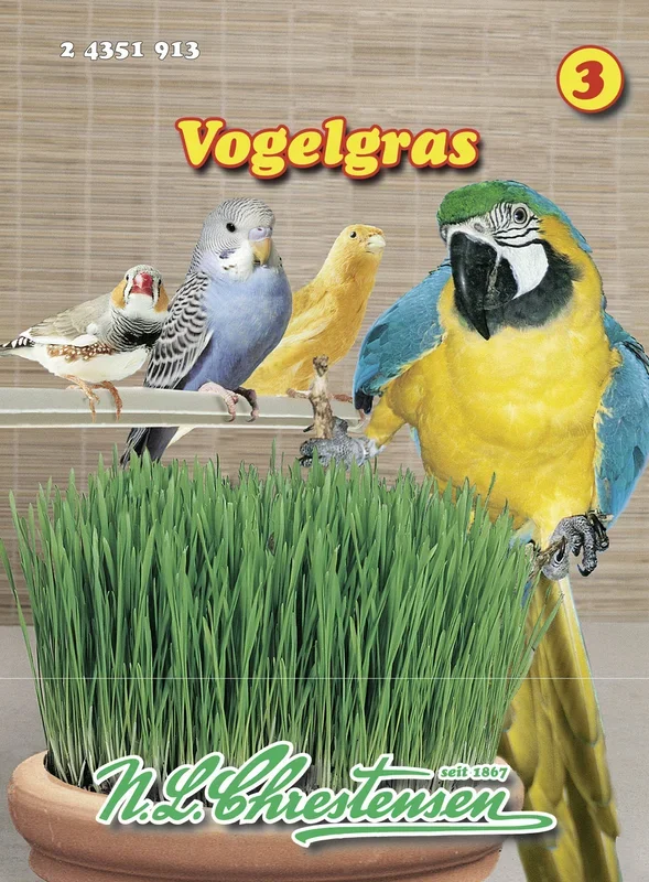 Vogelgras