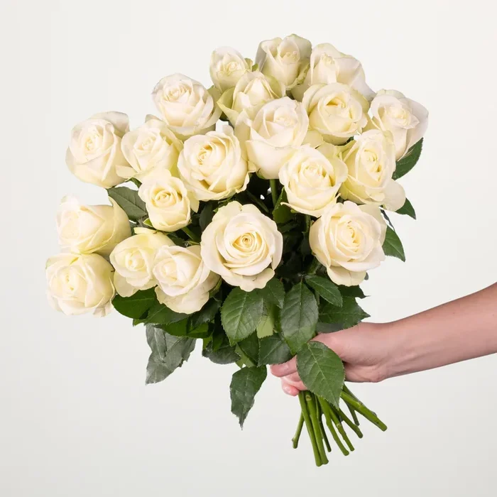Weiße Rosen – 20 Stiele