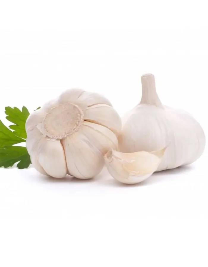 Weiße und rote Knoblauchknolle