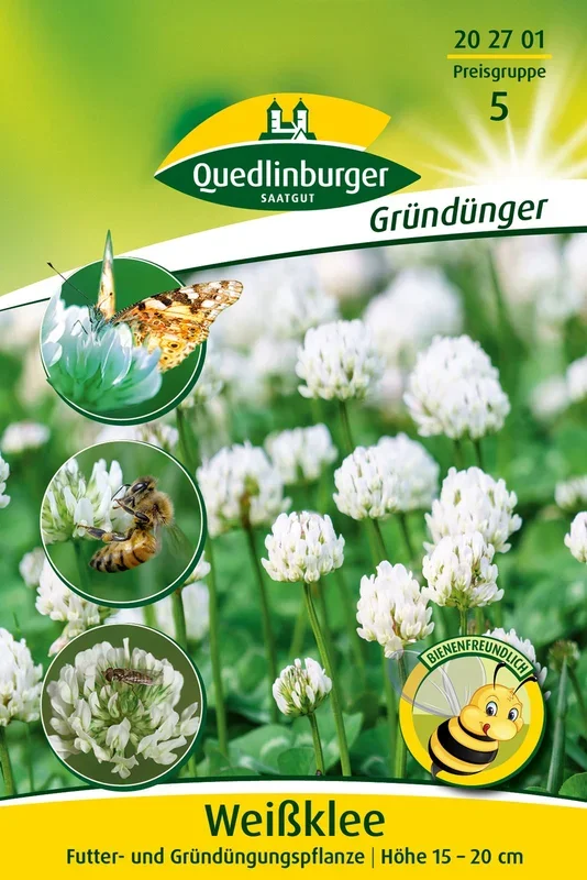 Weißklee mehrjährig (50 g)