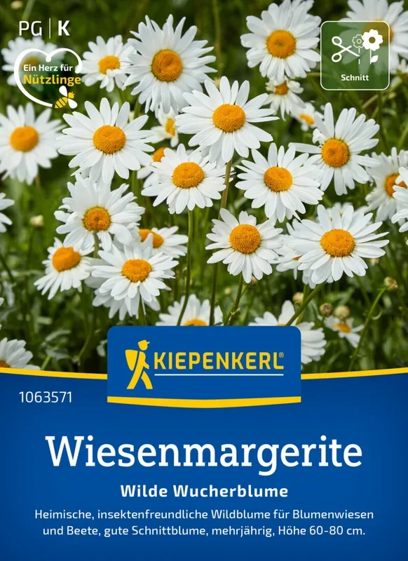 Wiesenmargeritensamen, Wilde Wucherblume für naturnahe Blütenpracht, Kiepenkerl