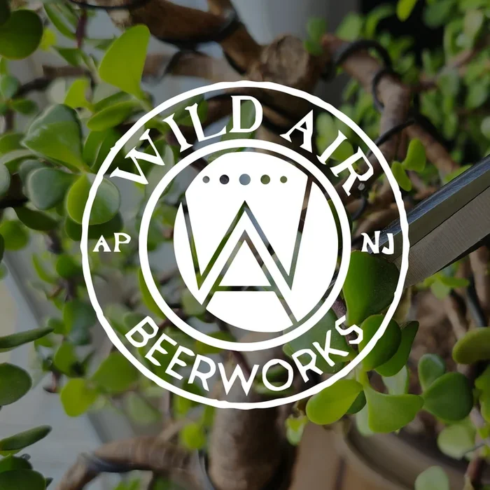 Wild Air Beerworks