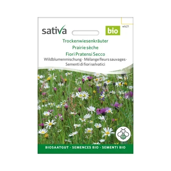 Wildblumenmischung Trockenwiesenkräuter Biosamen wb21