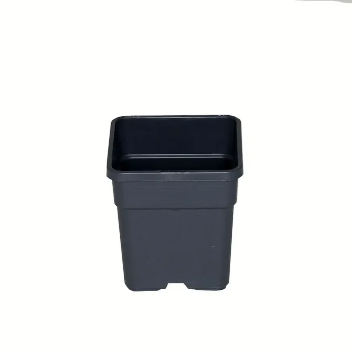 Wilma Blumentopf Kunststoff 11x11x19 cm – 1,65 l
