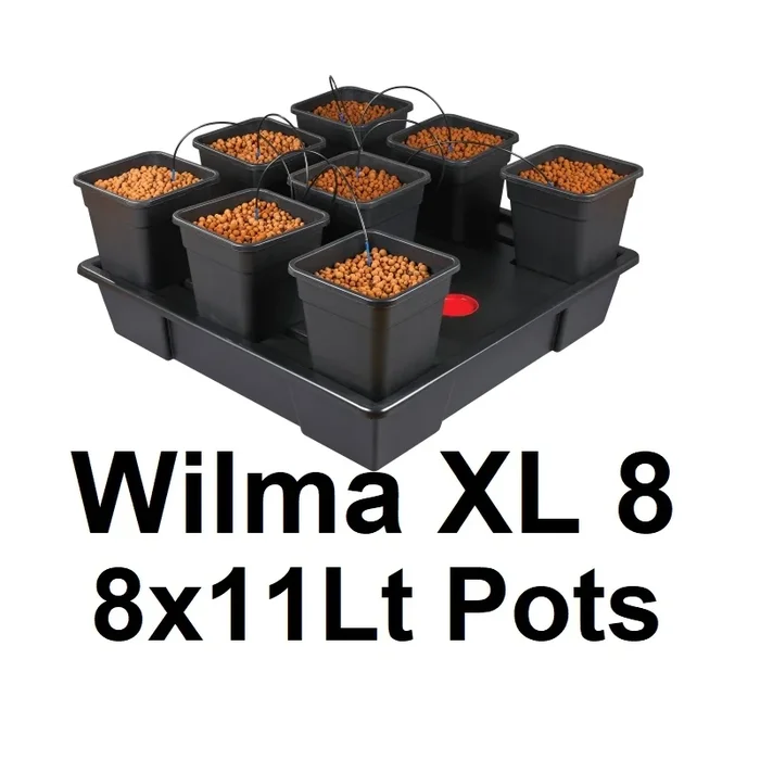 Wilma XL 8 Pflanzen 11Lt 90×90 cm
