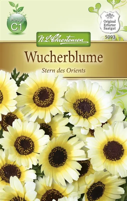 Wucherblumensamen ‚Stern des Orients‘