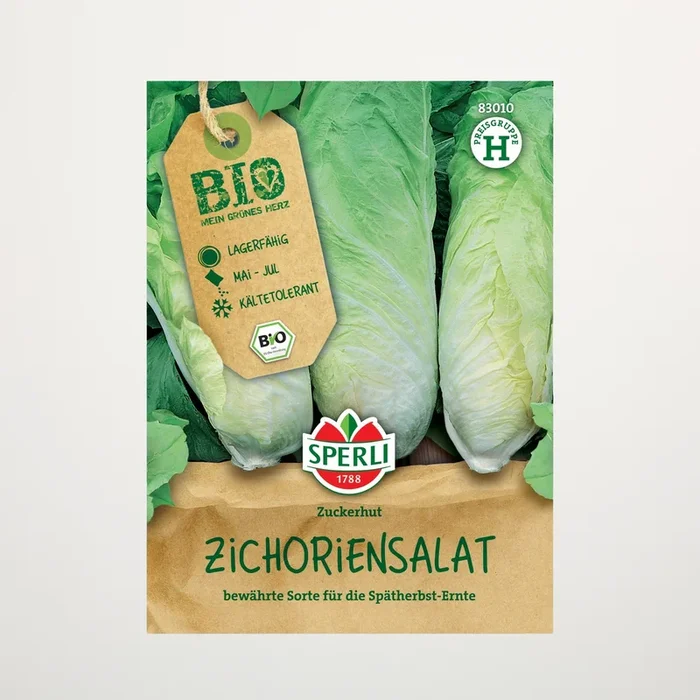 Zichoriensalat ‚Zuckerhut‘ Samen BIO