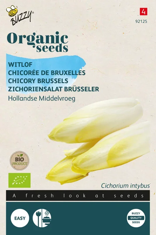 Zichoriensalat Brüsseler Chicorée Hollandse Middelvroeg [MHD 07/2023]