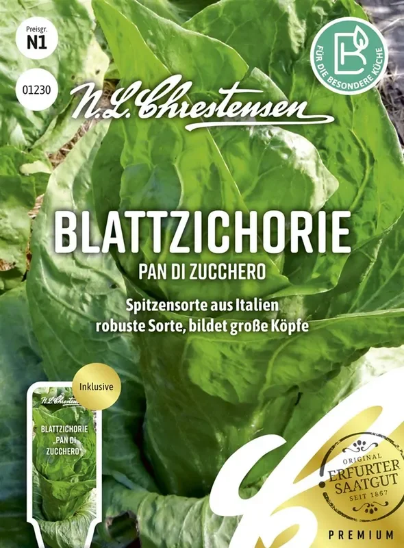 Zichoriensamen ‚Zuckerhut‘