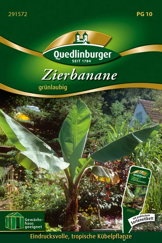 Zierbanane