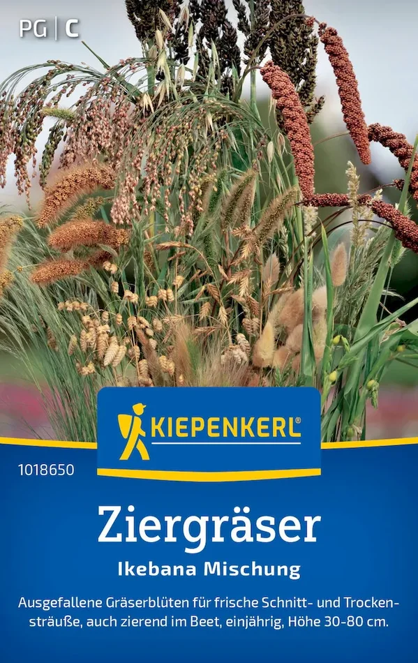 Ziergräsersamen Ikebana Mischung