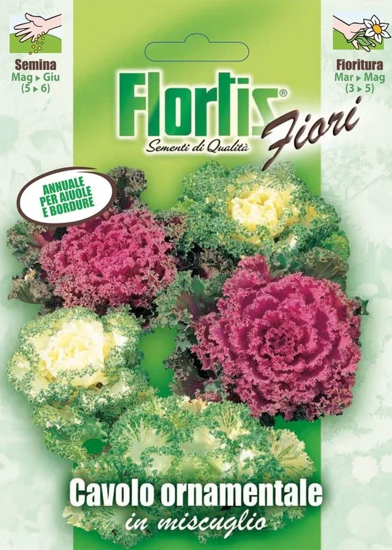 Zierkohl Mischung