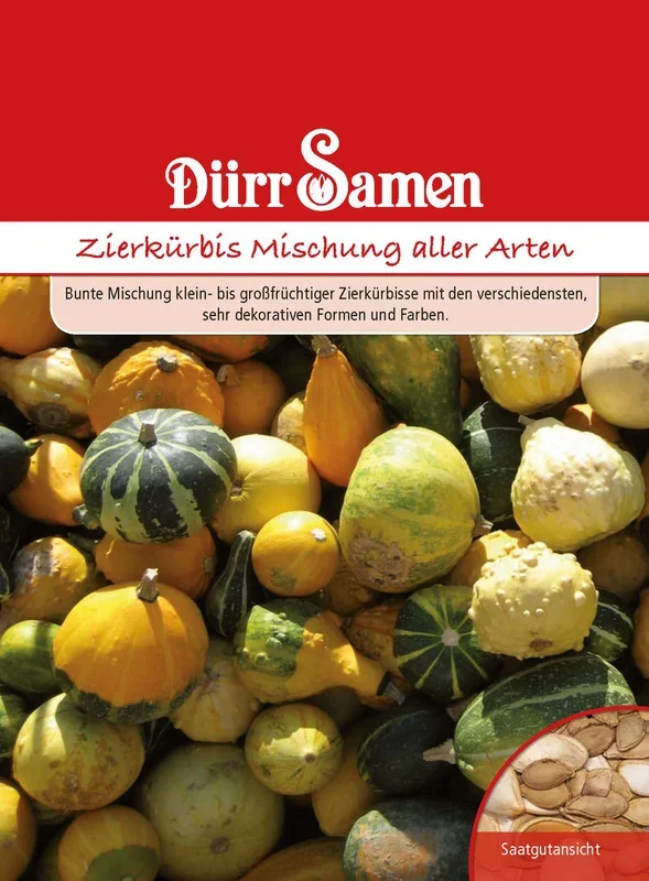 Zierkürbis Mischung