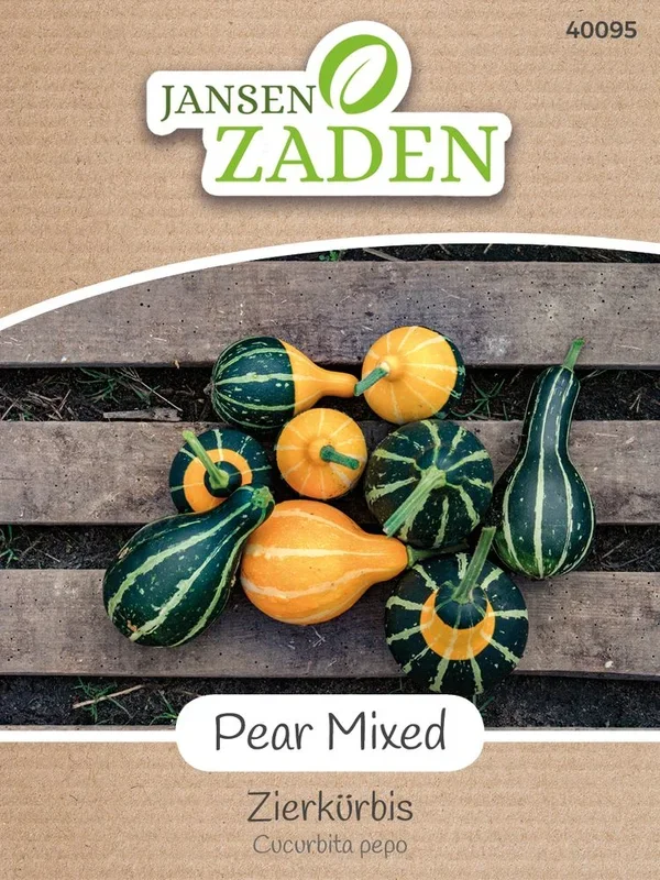 Zierkürbis Pear Mixed