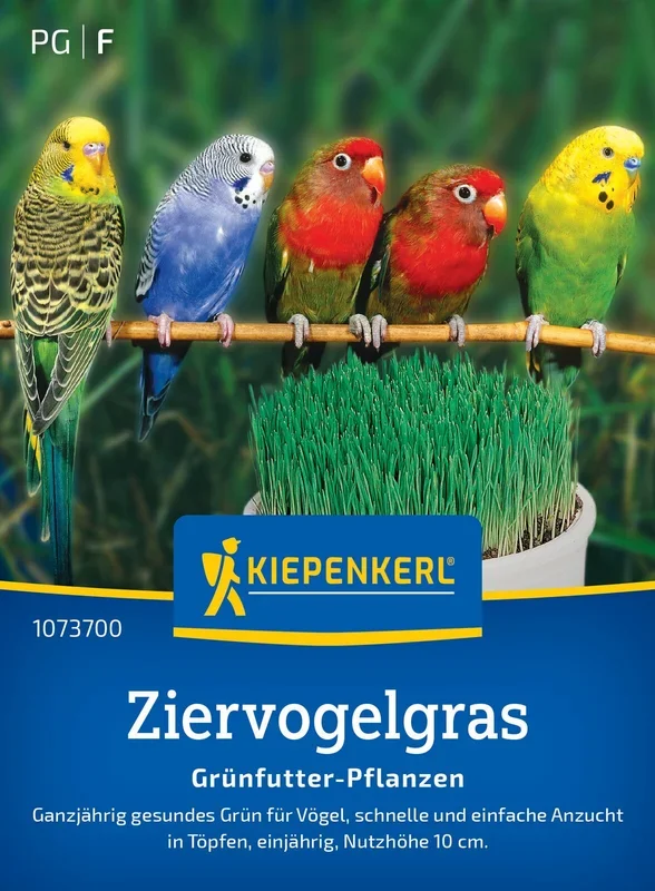 Ziervogelgras Frischgrün Mischung (25 g)