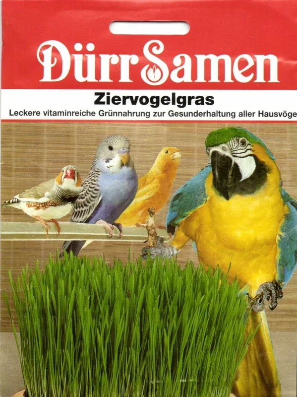 Ziervogelgras [MHD 12/2024]