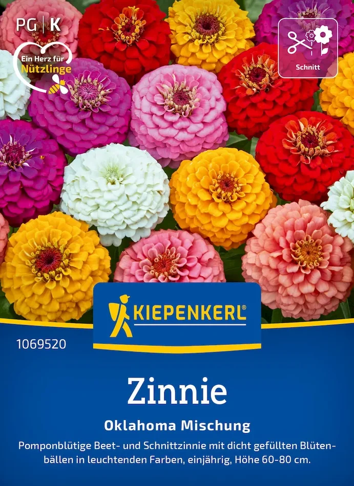 Zinniensamen Oklahoma Mischung