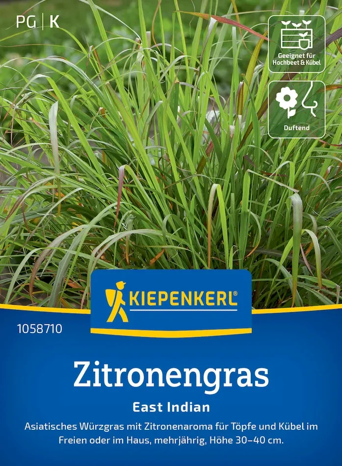 Zitronengrassamen East Indian