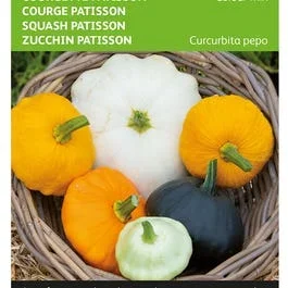 Zucchini Patisson Farbmix