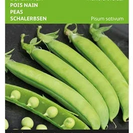 Zuckererbsen Marktveroveraar