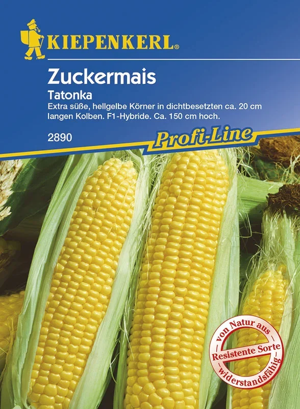 Zuckermais Tatonka F1 [MHD 01/2024]