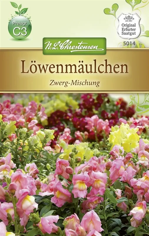 Zwerg-Löwenmaul-Samen