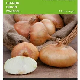 Zwiebel Noordhollandse Strogele
