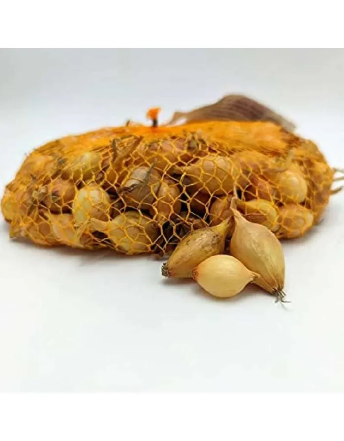 Zwiebelblonde Schalotte 500g Beutel