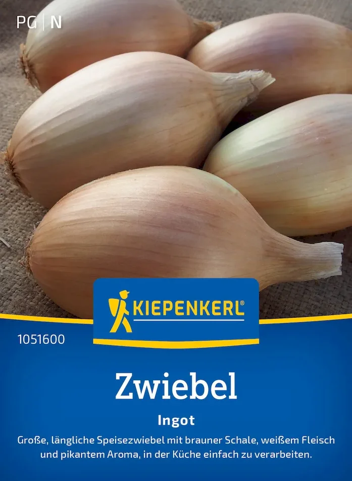 Zwiebelsamen Ingot, F1